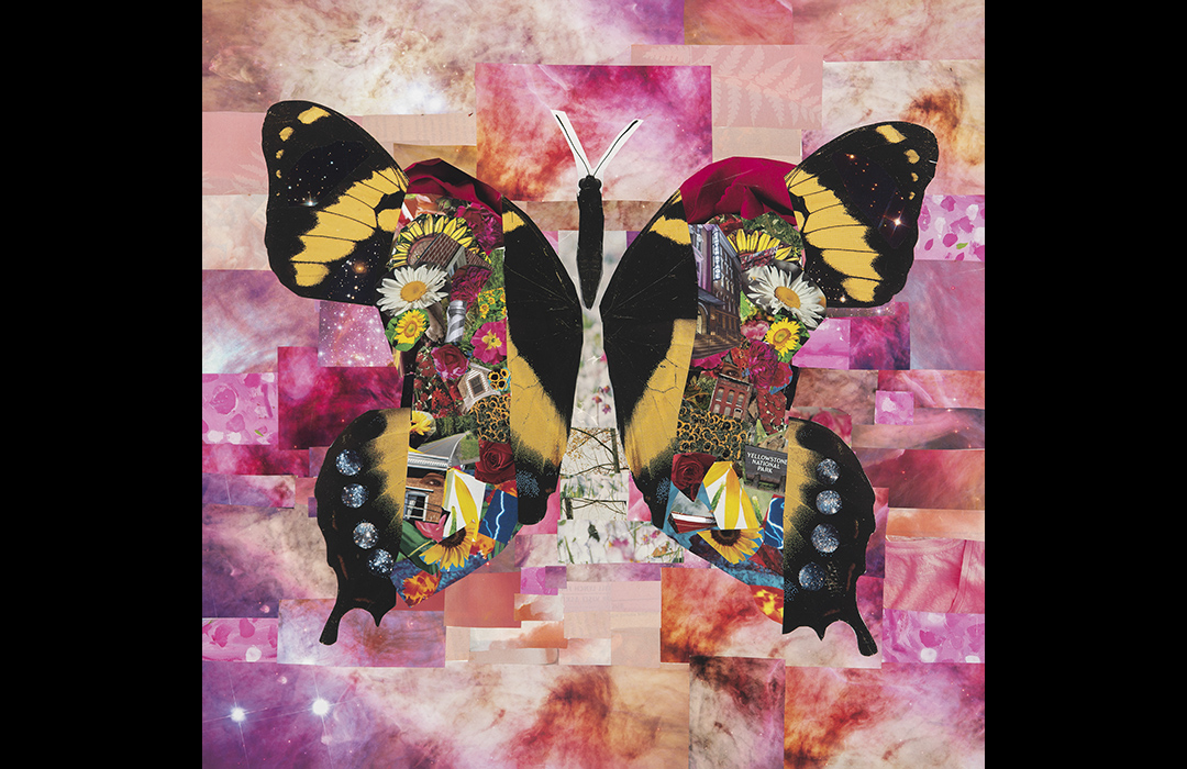 Artist rendition of a butterfly. Created as a collage of pictures on a pink background.